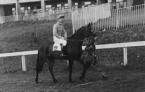 Dick on Fighting Line, on which he won the Welsh Grand National at Chepstow.